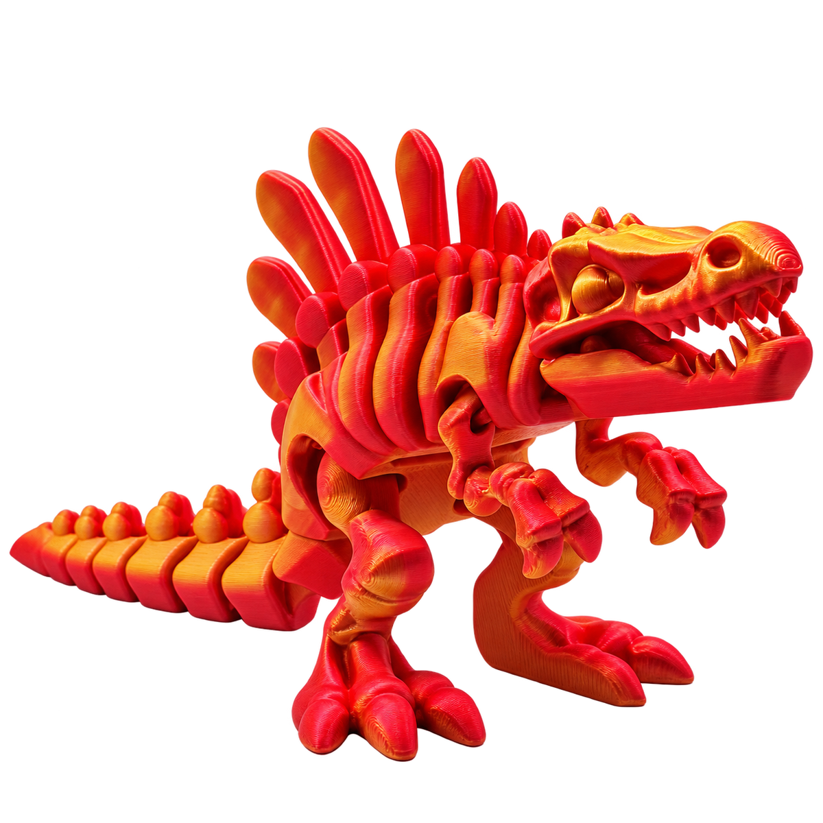 Knogleknuser Rex
